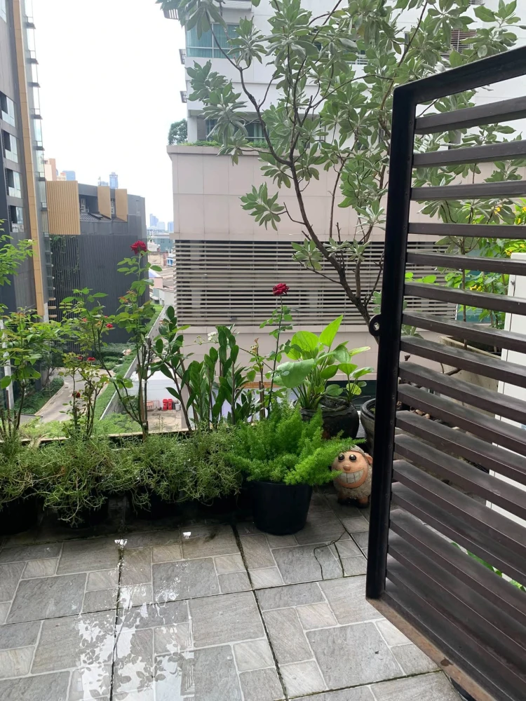 🏡 For Sale & Rent | The Emporio Place
