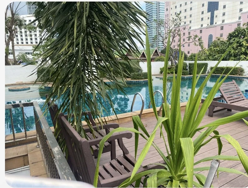 🌼 Condo for Sale: Chateau in town Ratchada 17 – Spacious Studio 🌼