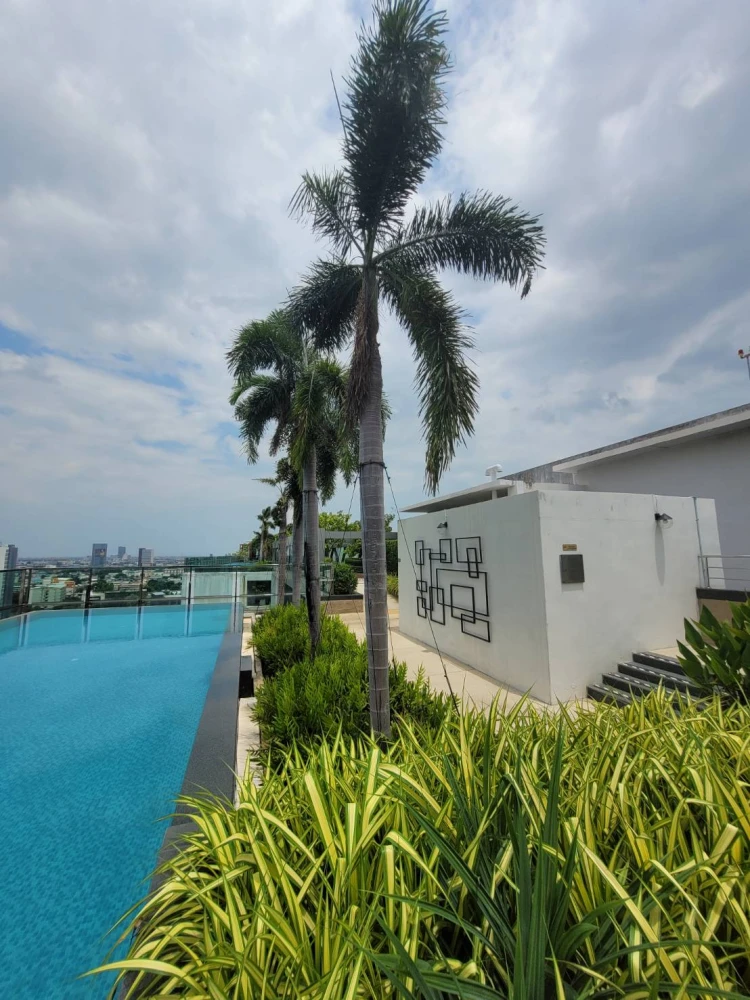 🏢✨ Condo for rent next to BTS, Sukhumvit location ✨🏢 🚆🌿 Ideo Mix Sukhumvit 103