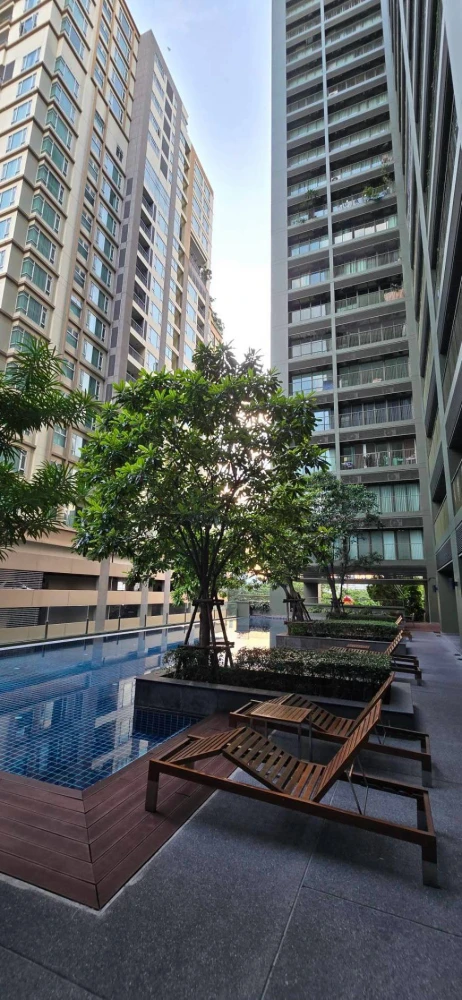 💎 FOR RENT | NOBLE SOLO