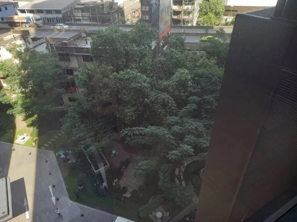 🌿🏙 Condo for rent: Ashton Asoke – Rama 9. Beautiful room, tree view, quiet and peaceful. Near MRT. 🏙🌿