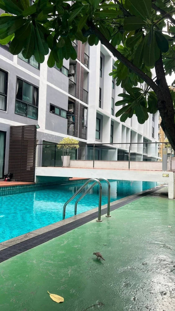 🏠🌃 Condo for Rent: Metro Sky Ratchada 🏠🌃