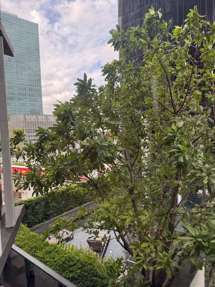 🏠🌃 Condo for Rent: Siamese Ratchakru 🏠🌃
