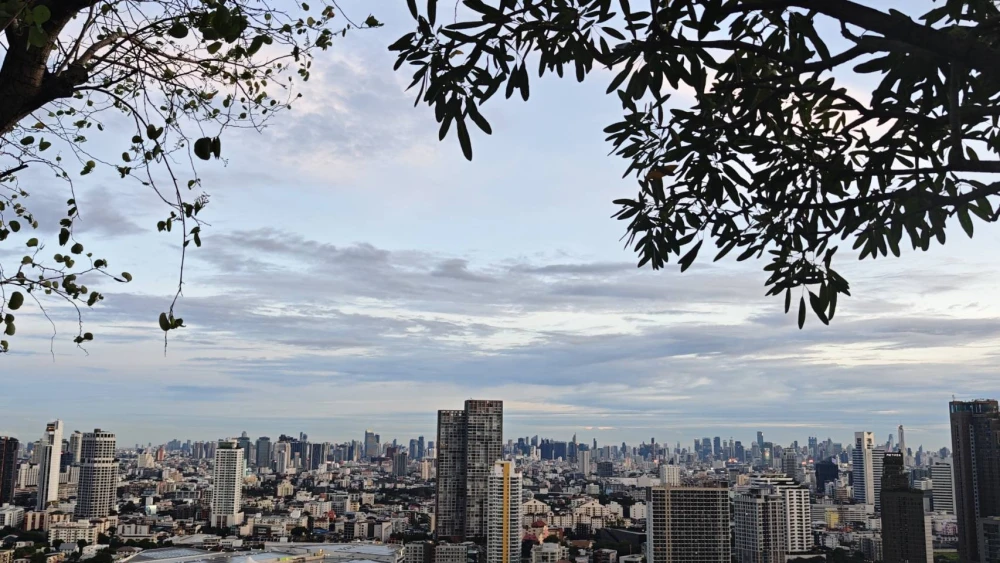 ✨ Premium Corner Unit for Rent - North Facing (No Afternoon Sun) ✨ The Line Vibe