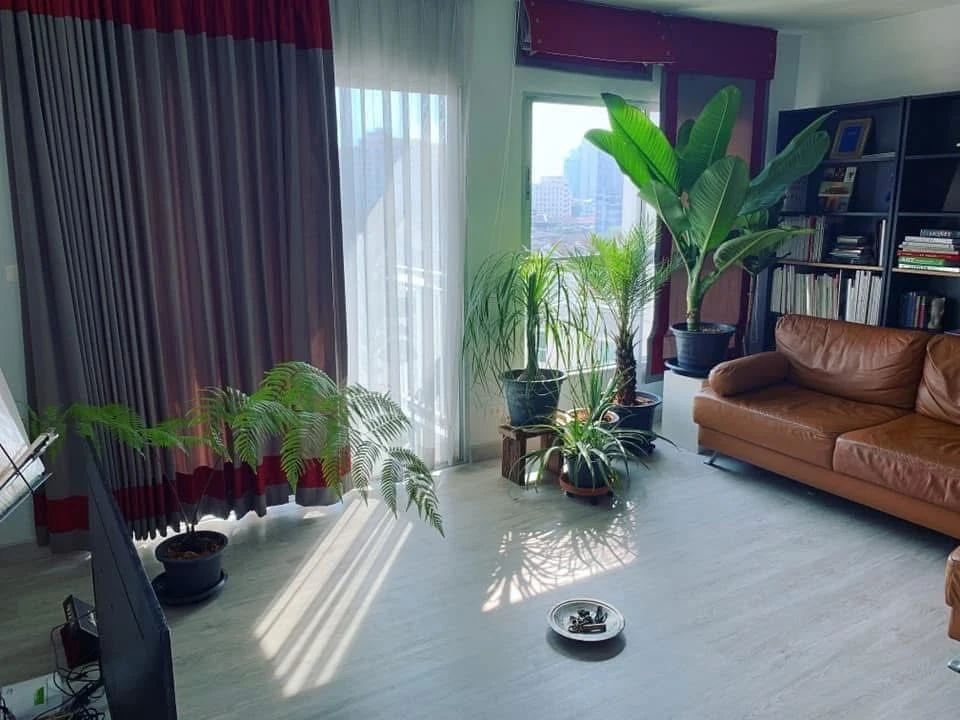 ✨ Spacious 2-Bedroom Condo for Rent ✨ S&S Sukhumvit Condominium