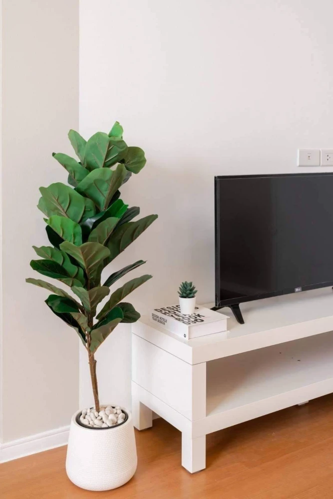For rent Lumpini Mixx Thepharak - Srinakarin ห้อง Studio ชุดครั้วบิ้วอิน ราคาคุ้ม รีบย้าย