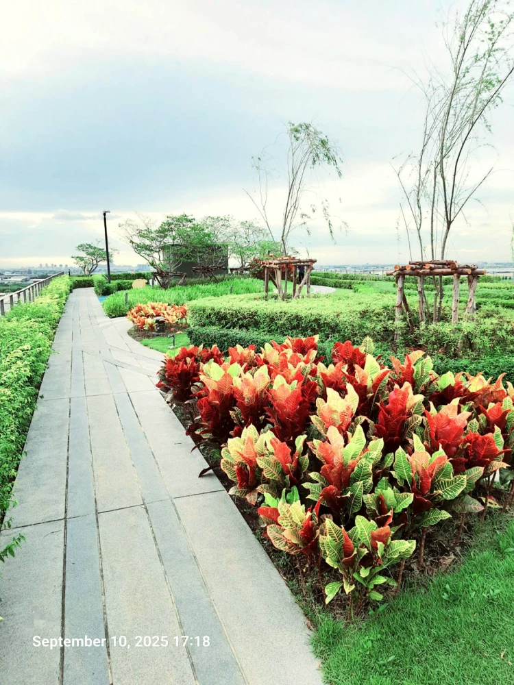 The Base Saphanmai ให้เช่า ห้องขนาด 34 ตร.ม ห้องกว้าง เครื่องใช้ไฟฟ้าคครบครัน โอกาสมาแล้วรีบจองเลย