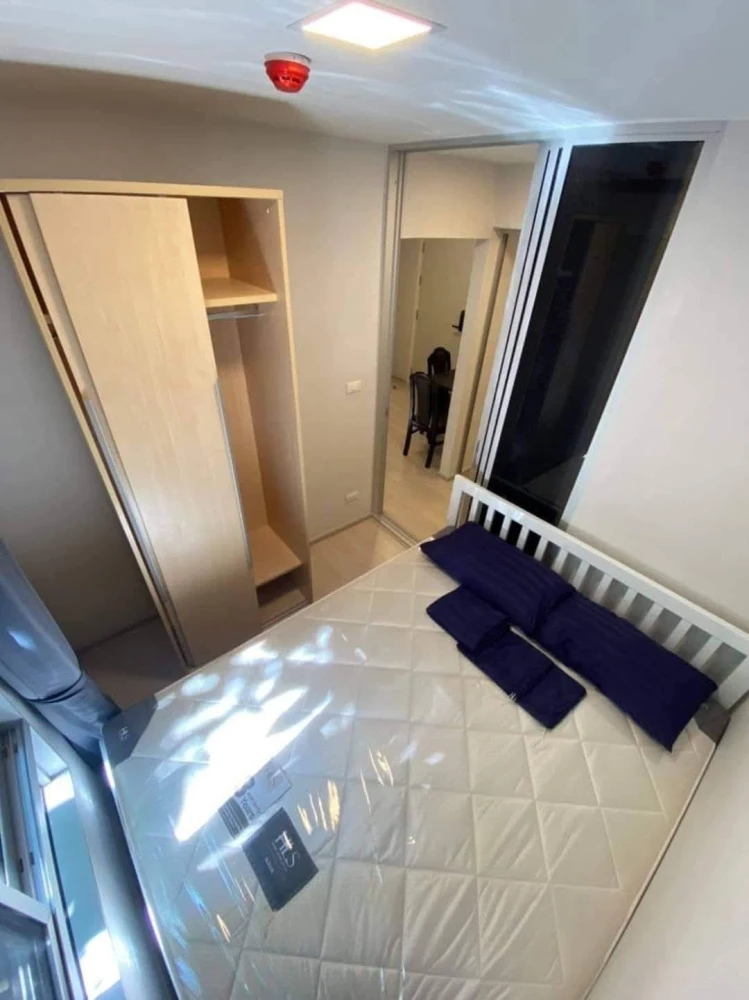 For sale/rent Plum Condo Rangsit Alive 2, ready to move in, furnished, reserve now.