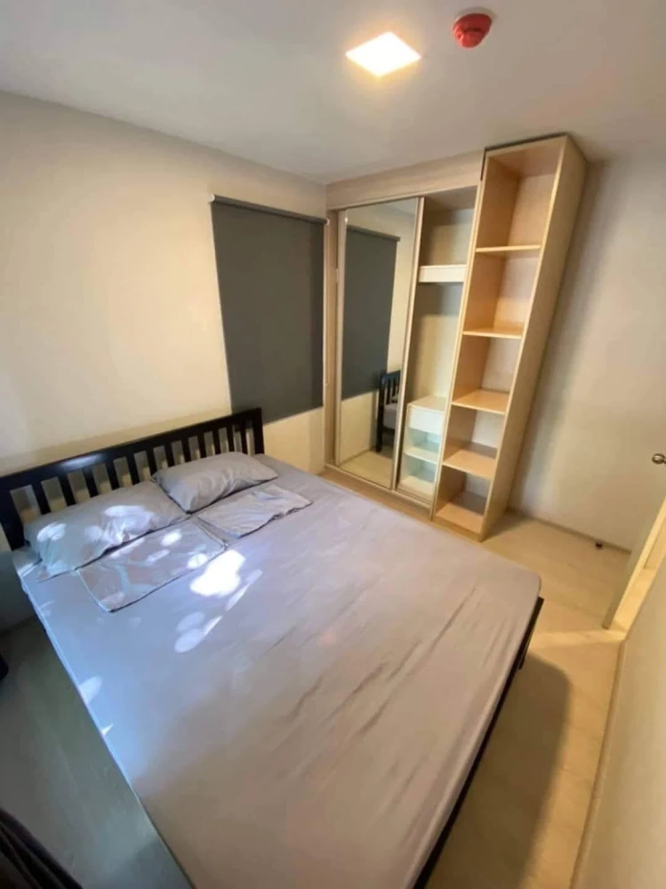 For sale/rent Plum Condo Rangsit Alive 2, ready to move in, furnished, reserve now.