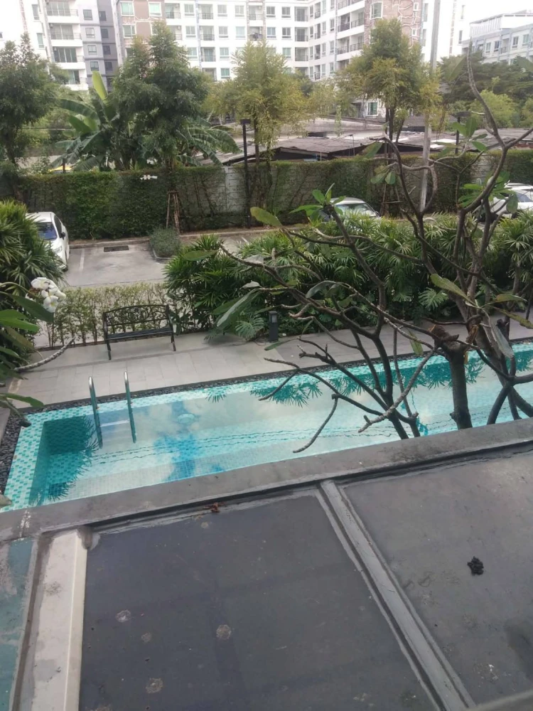 Sell / rent Icon Do Serithai Green Space, beautiful room, very nice, fully furnished, do not miss it, hurry up