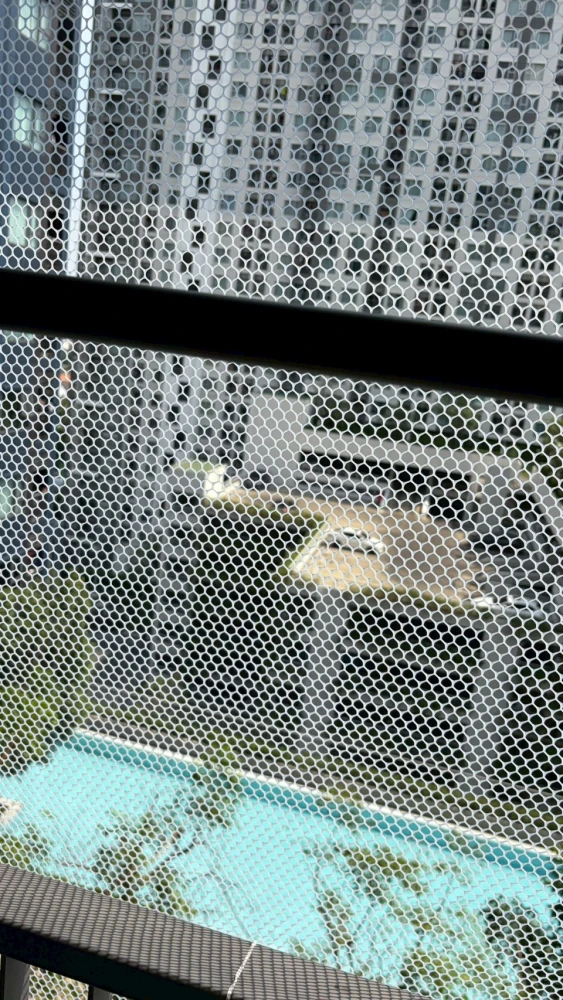 Selling Aspire Rattanathibet - Weston, 11th floor, pool view, good ventilation, not hot, good condition, no water leakage during the rainy season, qui