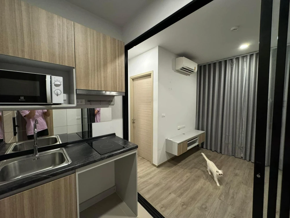 For sale: Brixton pet&play Sukhumvit 107, 2nd floor, Building C, divided into sections, pets allowed. Can you not reserve it?