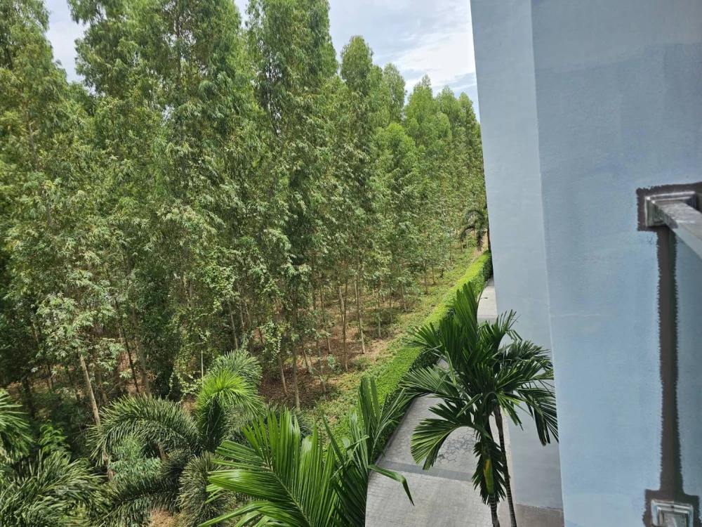 Dusit Grand Park for sale, nice room, good location, comes with complete furniture and appliances. Reserve now.