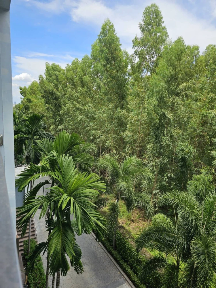 Dusit Grand Park for sale, nice room, good location, comes with complete furniture and appliances. Reserve now.