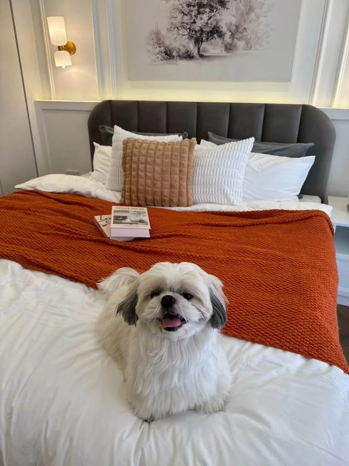 Grand Park Town condo for sale, fully furnished, with a separate kitchen area. Perfect for anyone looking for a pet-friendly condo!