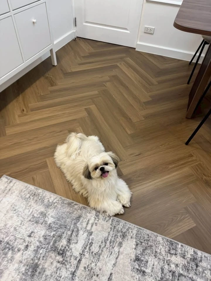 Grand Park Town condo for sale, fully furnished, with a separate kitchen area. Perfect for anyone looking for a pet-friendly condo!