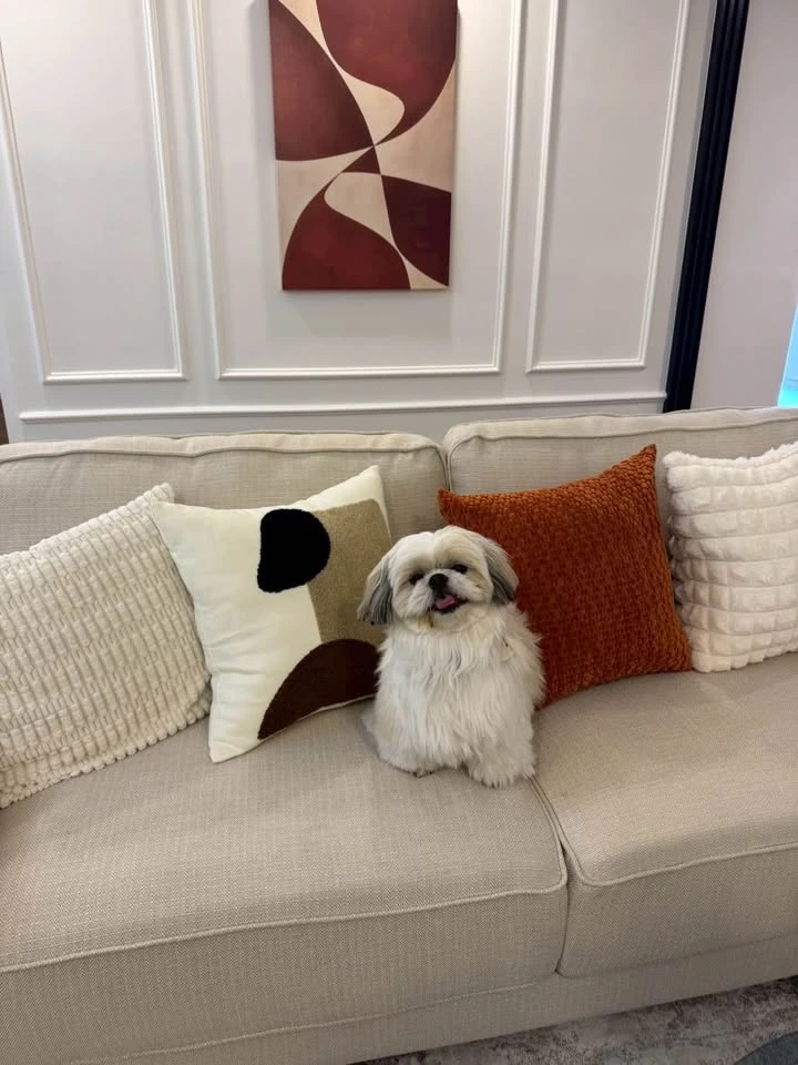 Grand Park Town condo for sale, fully furnished, with a separate kitchen area. Perfect for anyone looking for a pet-friendly condo!