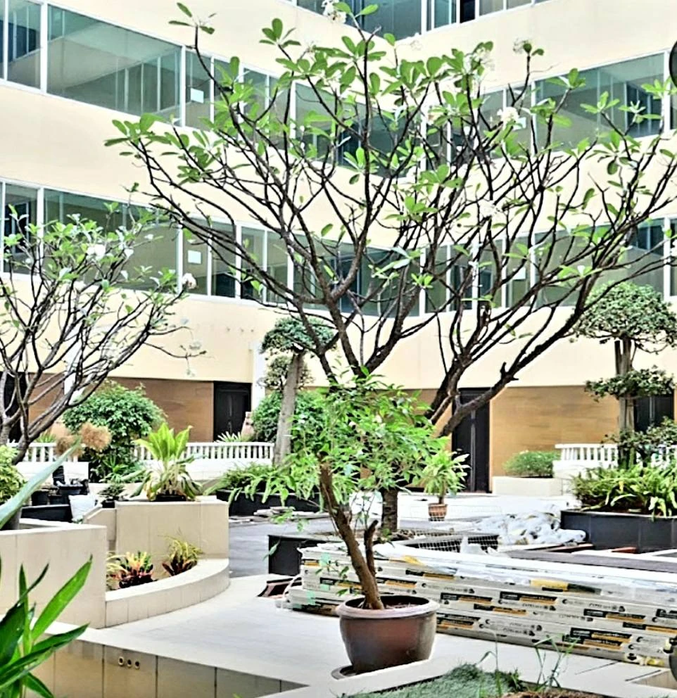 For sale: Happy Condo Lat Phrao 101, very spacious room, brightly decorated, fully furnished. I must say you have to book.