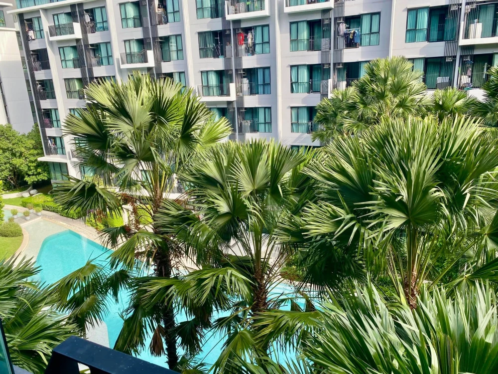 Selling Kave Town Shift, Building D, 5th floor. Fully furnished with built-in features, ready to move in.
