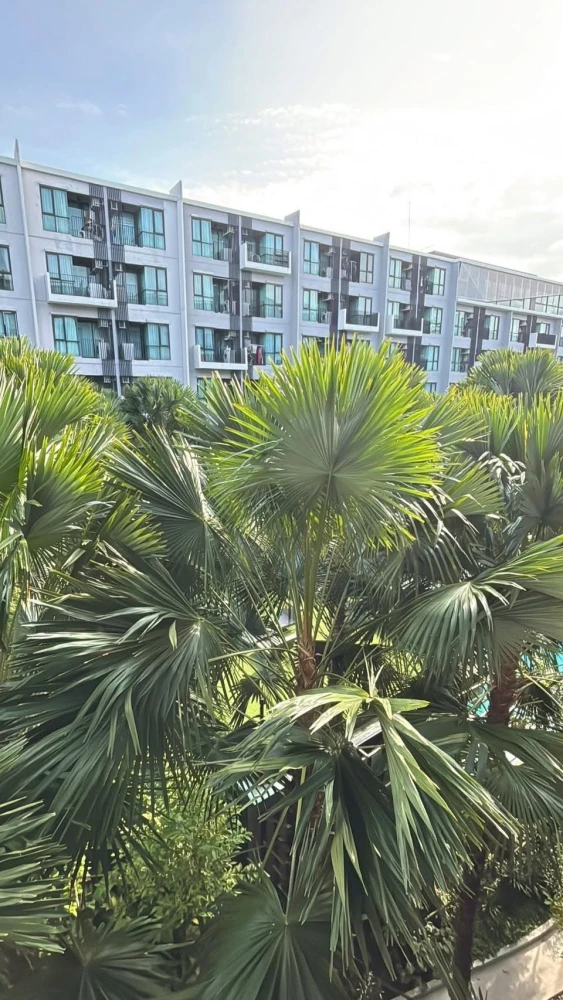 Selling a Kave Town Shift condo unit on the 5th floor. Great location, convenient transportation, fully furnished. Just bring your bags and move in!