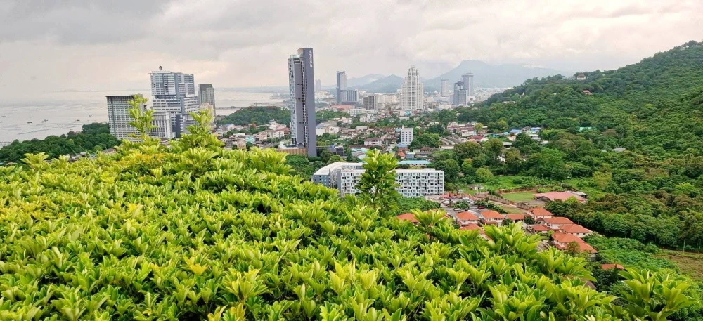KnightBridges The Ocean SriRacha for sale. If you are looking for a luxury condo in a valley location with stunning sea of ​​mist views and a tranquil
