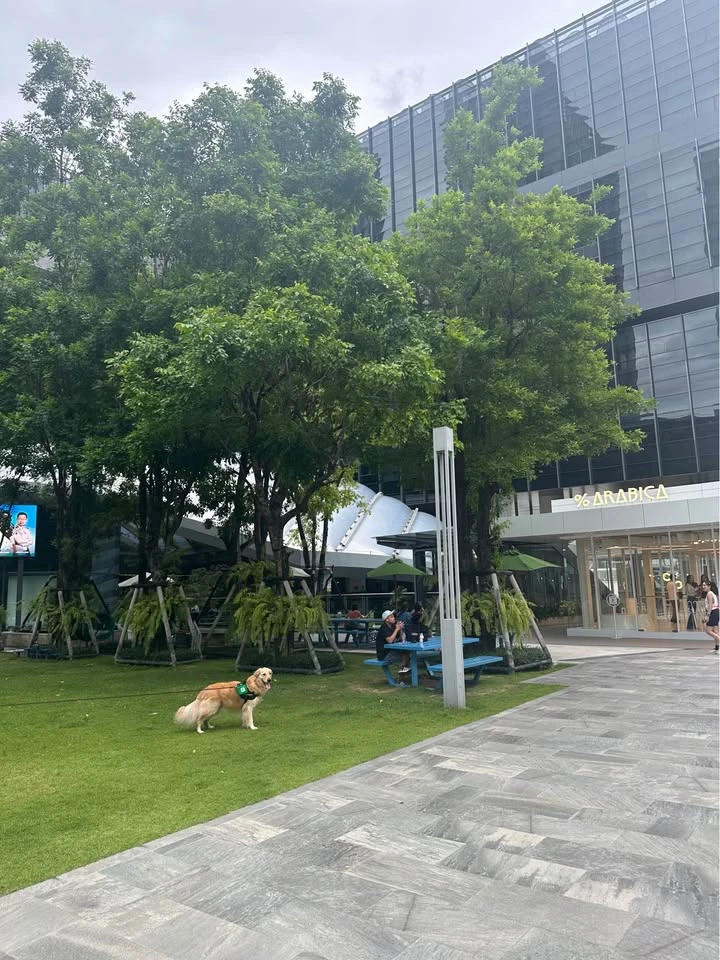 ขาย The Base Park West ห้องน่าอยู่ ชั้นสูง ห้องเป็นสัดส่วน มีระเบียง ดีแบบนี้รีบจองเลยห้ามพลาด!!!