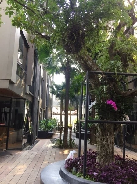 For sale: The Tree Privata, 4th floor, garden view, beautiful, with furniture and appliances, ready to move in