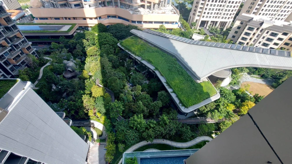 For sale: Whizdom The Forestias, 1 bedroom, 1 bathroom, large usable area, beautiful view, not blocked, don't miss it.