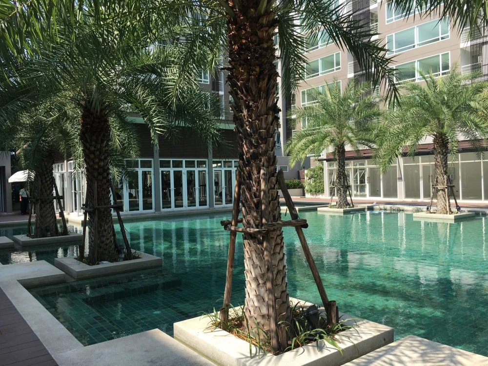 Condo for sale, Elements Srinakarin, fully furnished, good location, near shopping areas, don't miss it!!