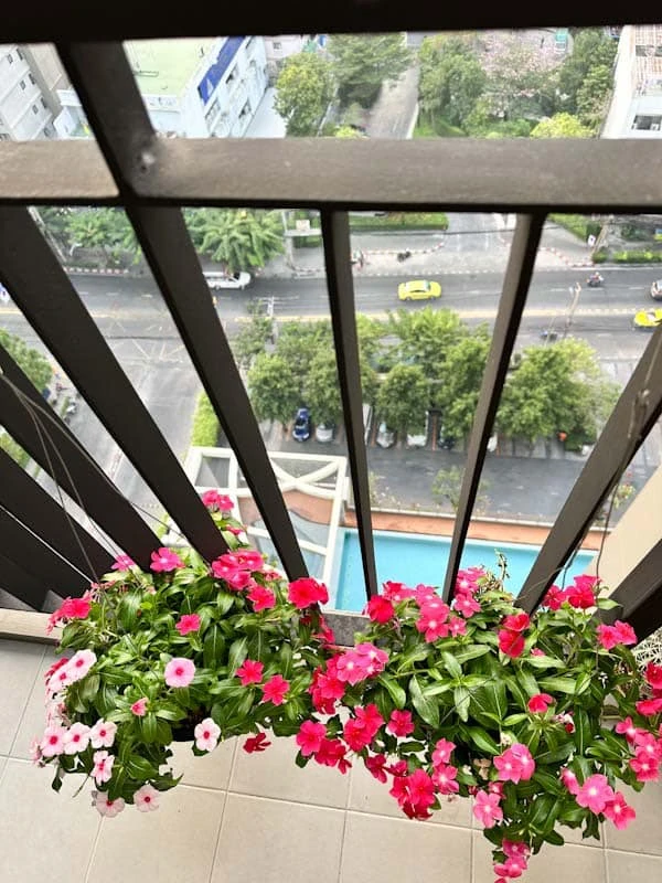 For sale, for rent BLOCS 77, very good condition, has built-in cabinets for additional storage, view of the super chill swimming pool, don't miss it.