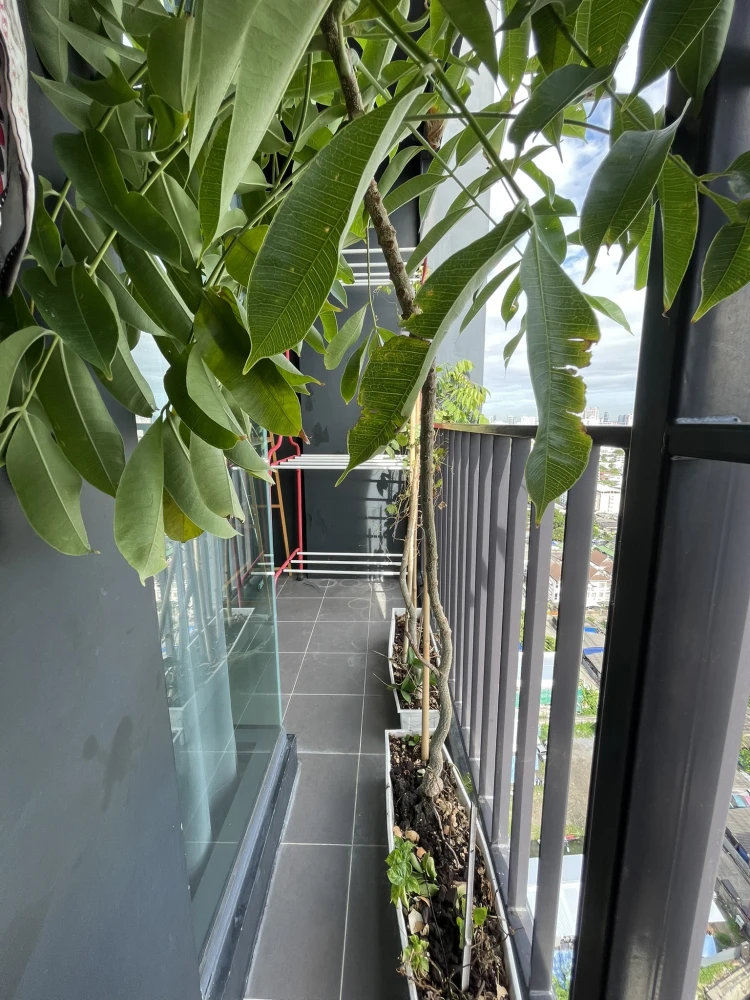 For sale, for rent, IDEO Ratchada-Sutthisan, 22nd floor, very breezy, not hot, fully decorated, modern style, blue + cream + gray tones, very worth bo