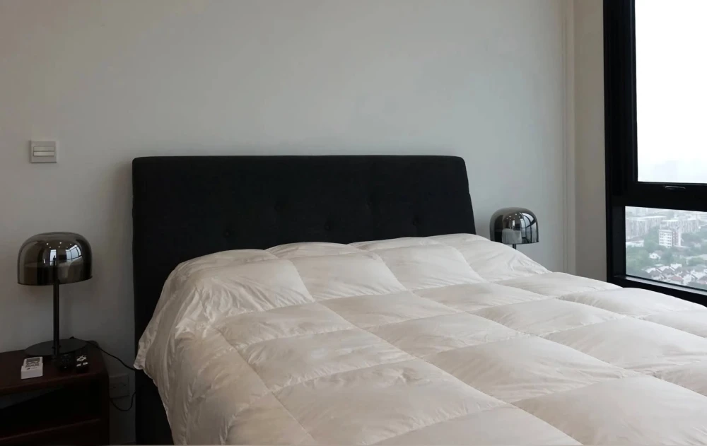 For sale or rent: Maru Ekkamai 2, Duplex unit, 2 bedrooms, 2.5 bathrooms, city view, fully furnished, pet-friendly. You can't miss this!