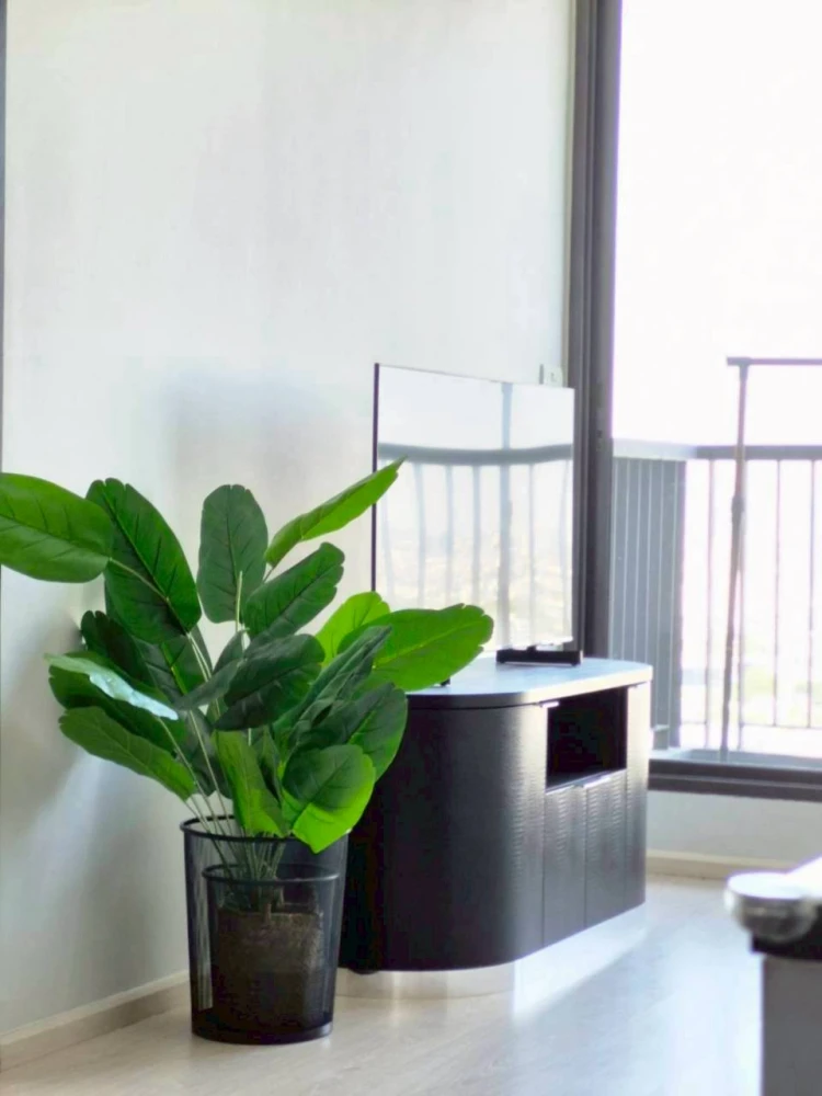 Sell for rent!! Condo Rhythm Sukhumvit 44/1, ready to move in room. With full facilities, book now!!