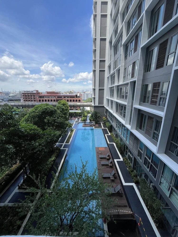 For sale or rent: Ideo Mobi Sukhumvit 81, studio room, fully furnished, swimming pool view, most beautiful on the floor, very livable.