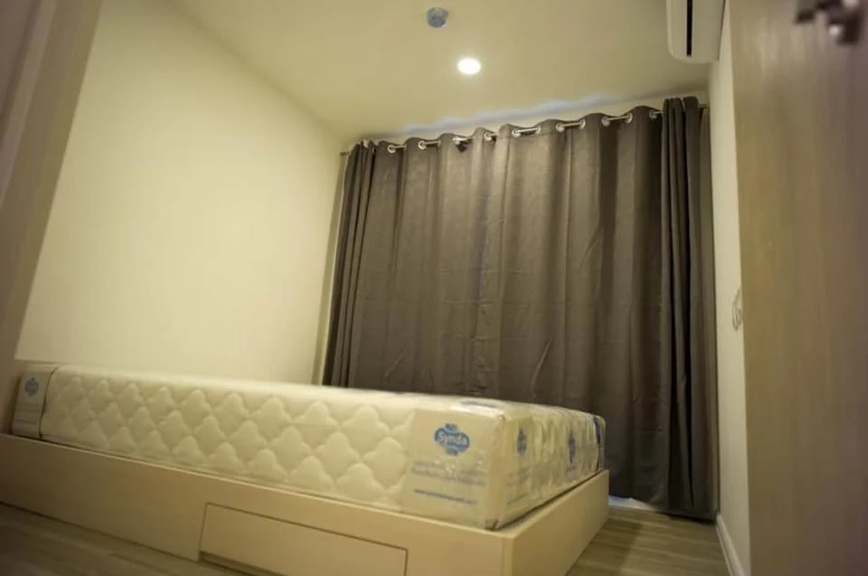 Condo for sale, Kensington, Kasetsart Campus, room with good wallpaper, great price, good for living or investment.