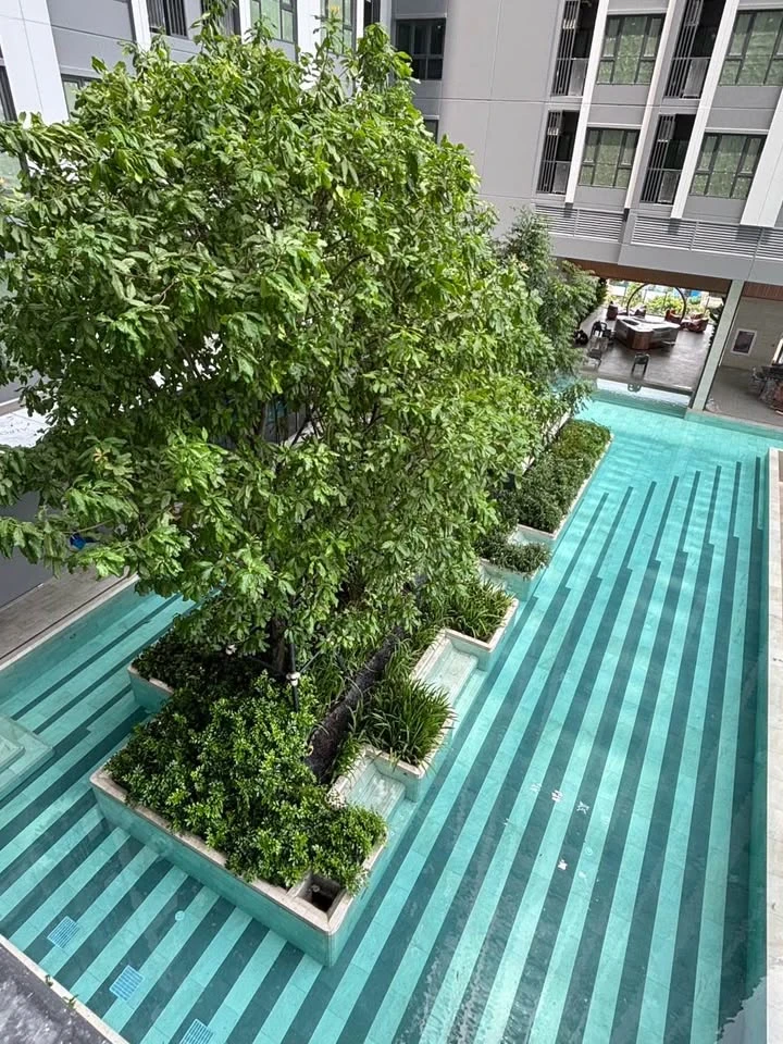 Selling down payment Aspire Sukhumvit - Rama 4, pool view, open view, not hot, separate kitchen, room number total 8, very good, live there and get ri