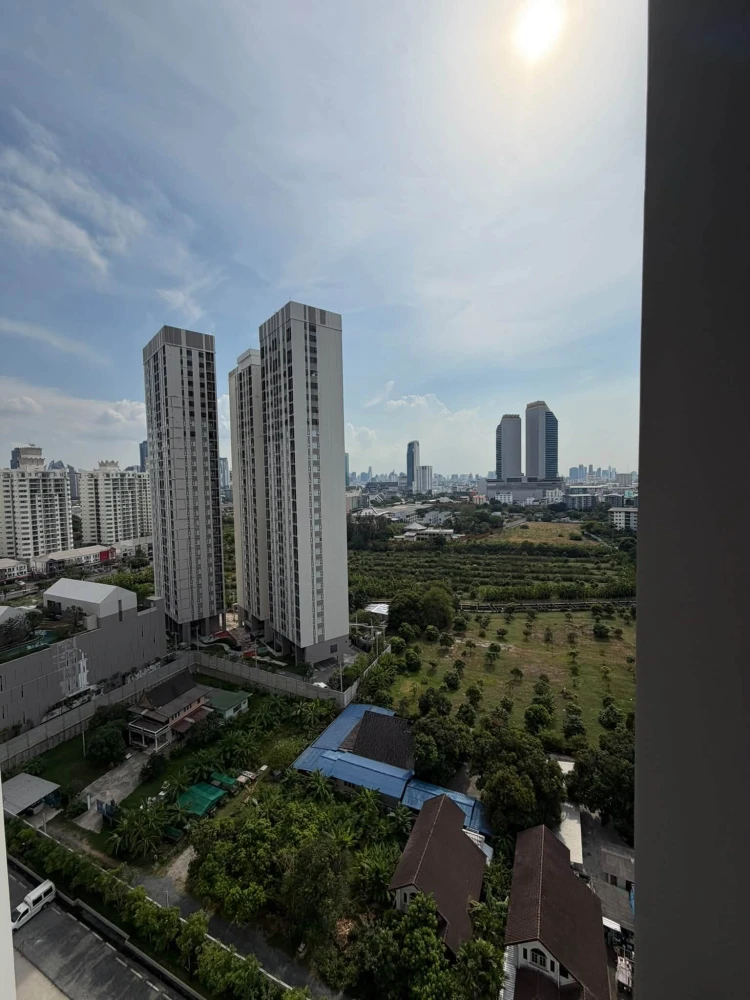Down payment resale for Cobe Ratchada Rama 9: Spacious unit (33.1 sq.m.) on the 16th floor of Building F. Clean and inviting—book now!