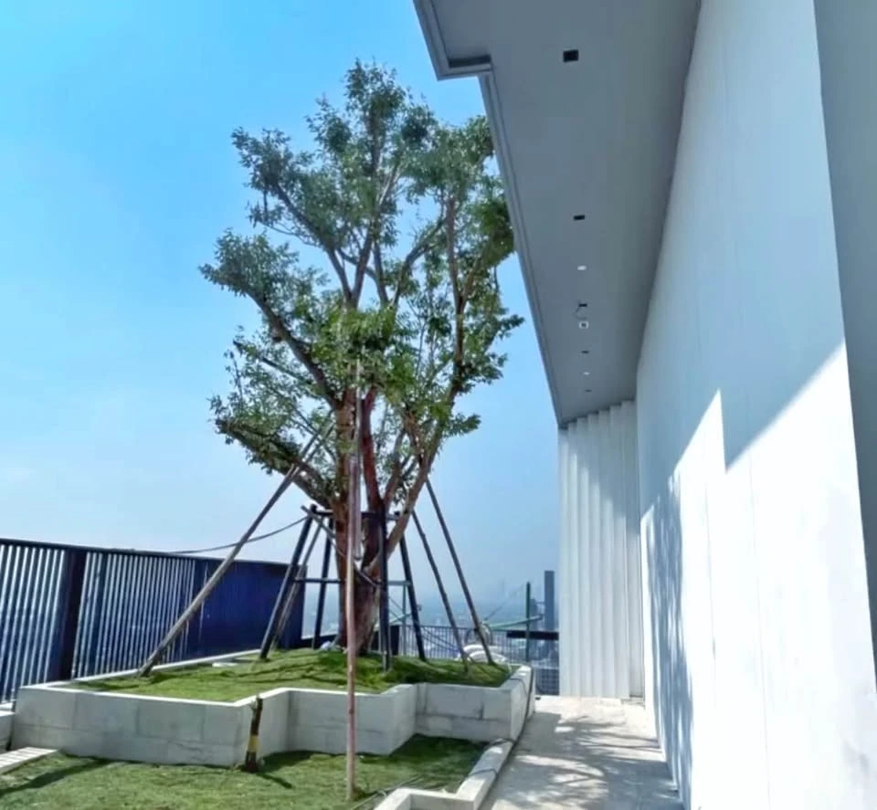 Selling down payment, Aspire On Nut Station, high floor, spacious room, very good location, hurry and book before you miss out.