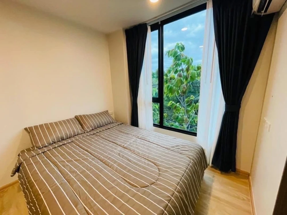 For rent: Esque Sukhumvit 101/1, 7th floor, fully furnished, treetop view, very relaxing. If you don't book, you'll really miss out. images