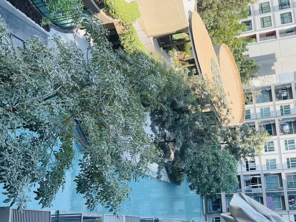 Condo for rent, D Condo Bliss Sriracha, room view overlooking the swimming pool, the room is cool all day, not hot.