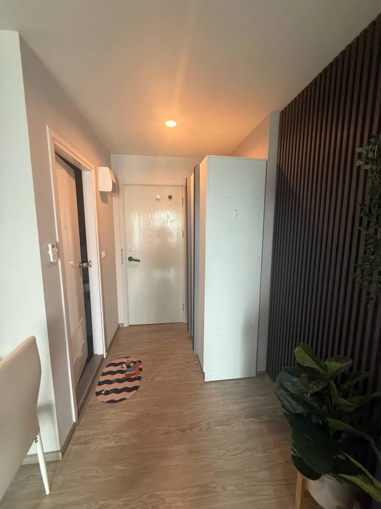 Urgent rental: Rye Sukhumvit 101/1. Move-in ready unit with full amenities. Great price—book now, don't wait!