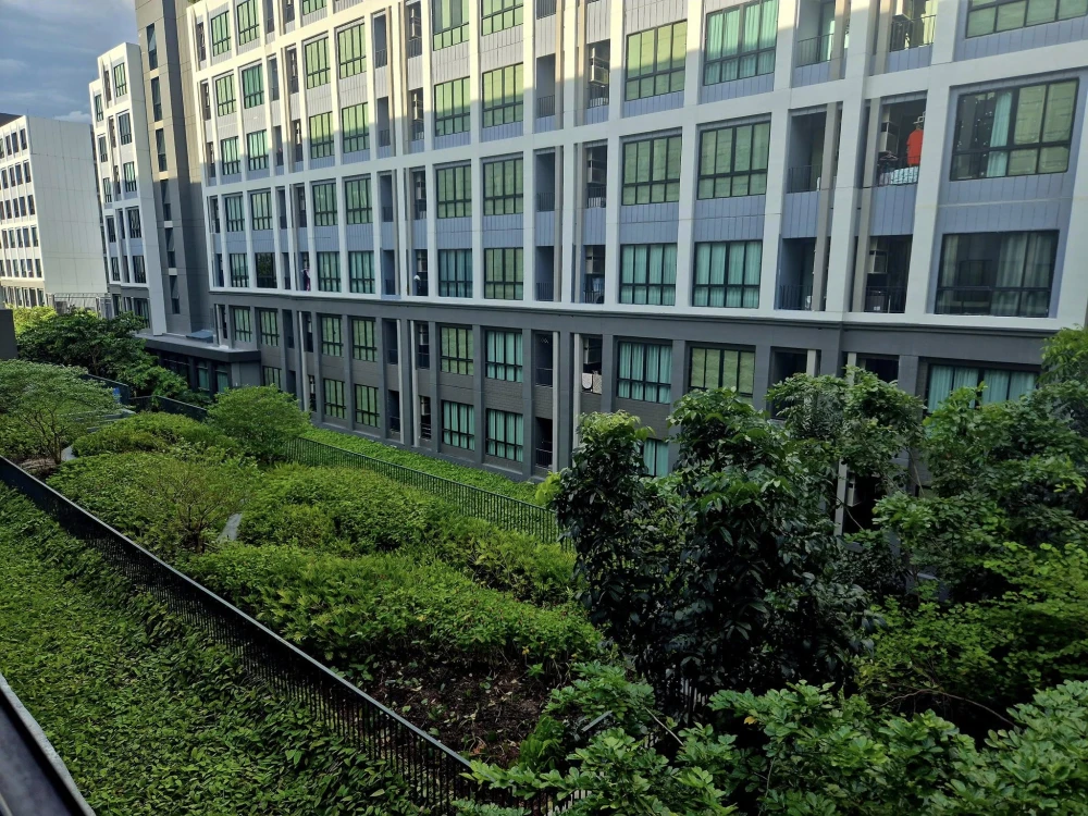 For rent: Atmoz Kanaal Rangsit, 1 bedroom, 1 bathroom, decorated in a cool tone, good location, garden view, reserve now!