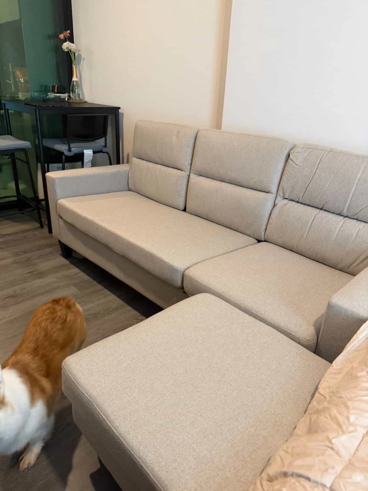 For rent: Brixton Pet&Play Phahol 50 Station, 1 bedroom, 1 bathroom, minimalist style, fully furnished. Book now!