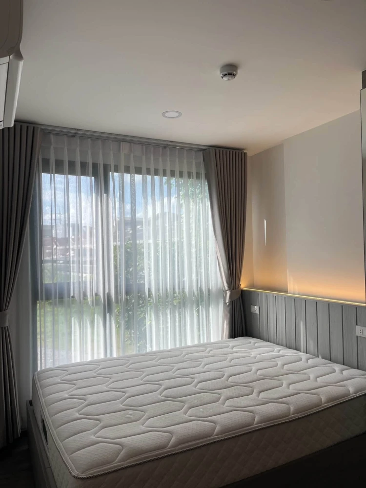ให้เช่า Brixton Pet&Play Phahol 50 ห้องแต่งครบ อนุญาตให้เลี้ยงแมวได้ พร้อมเข้าอยู่ทันที! images