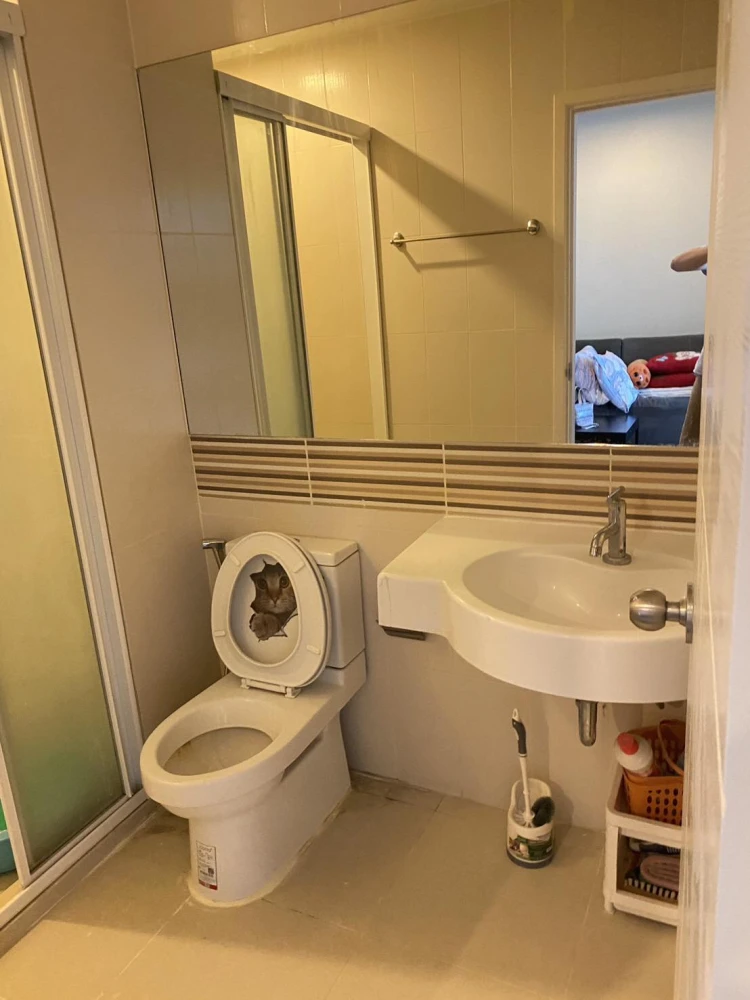 For rent: Centric Tiwanon Station, 16th floor, fully furnished, ready to move in, reserve now, hurry!