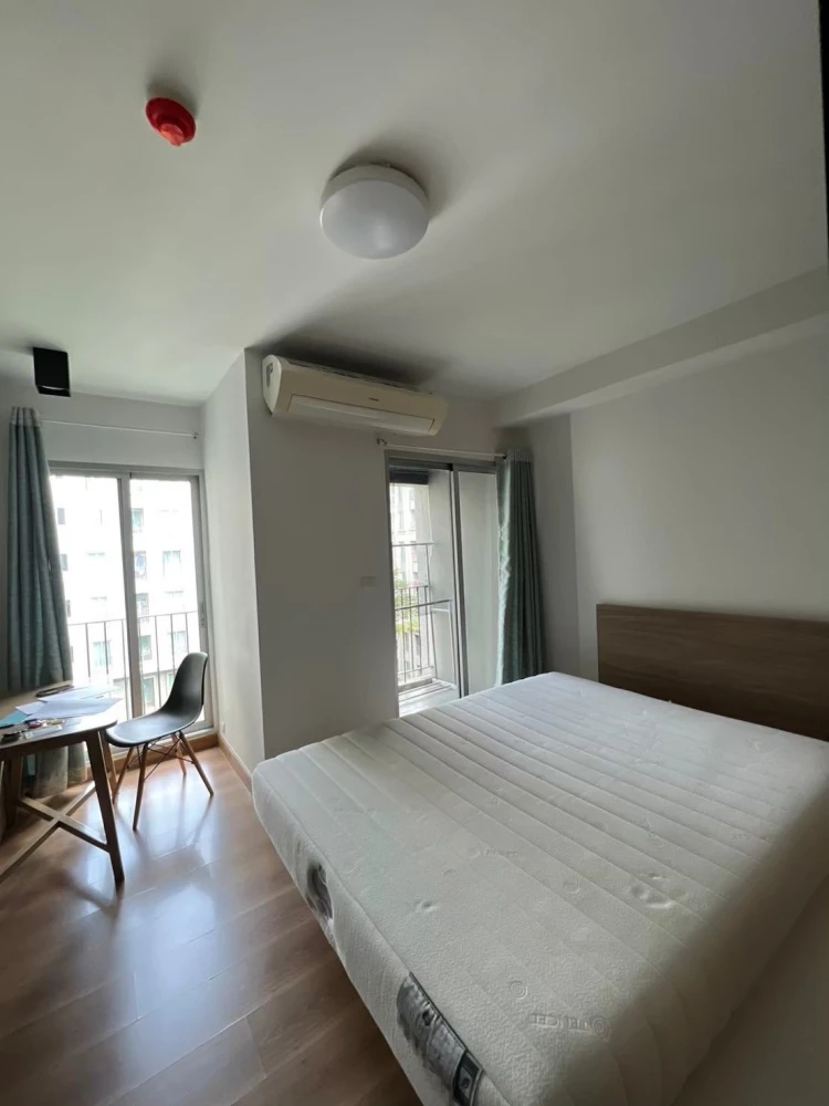 For rent, Chapter One The Campus Kaset, Studio room, view from the project, not hot all day, you can't miss this. images