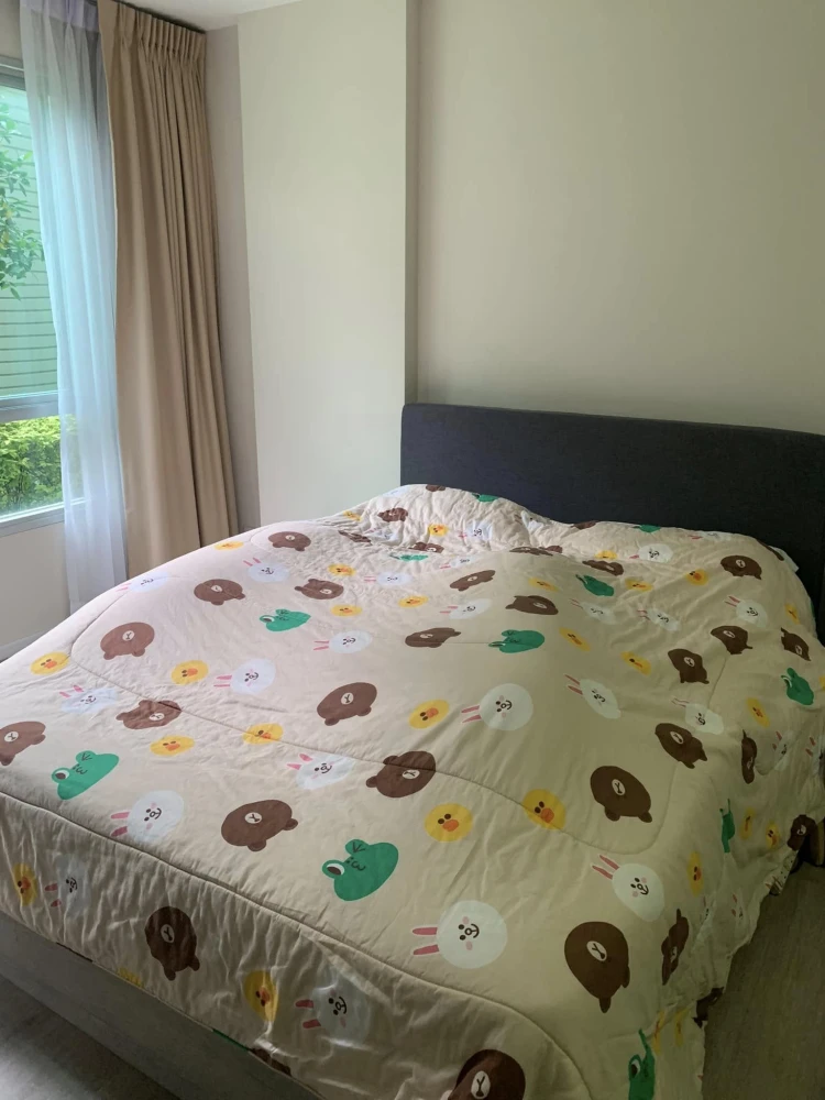 For rent: D condo campus rangsit phase 3, ready to move in, fully furnished, good price, hurry and reserve now.
