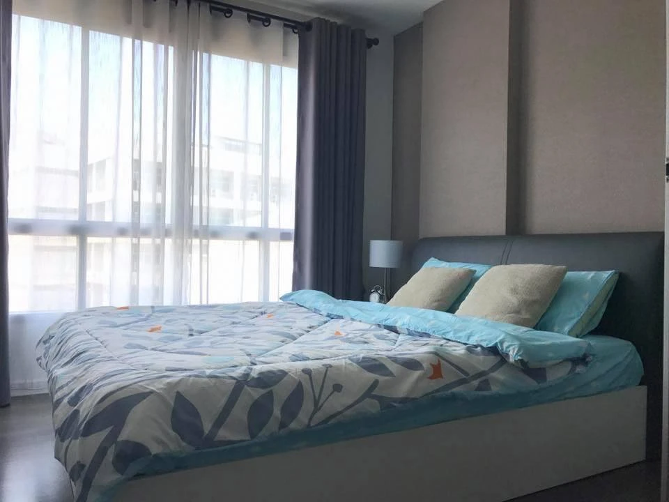 ให้เช่า D condo Campus Resort Bangsean 1 ห้องนอน 1 ห้องน้ำ เฟอร์และเครื่องใช้ไฟฟ้าครบครัน จองเลย