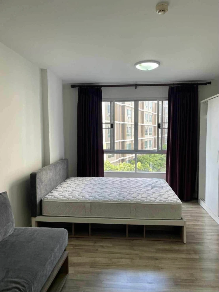 For Rent: dcondo Campus Resort Rangsit – 2 units available, ready to move in. Fully equipped with amenities at a great price. Book now—don't miss out!