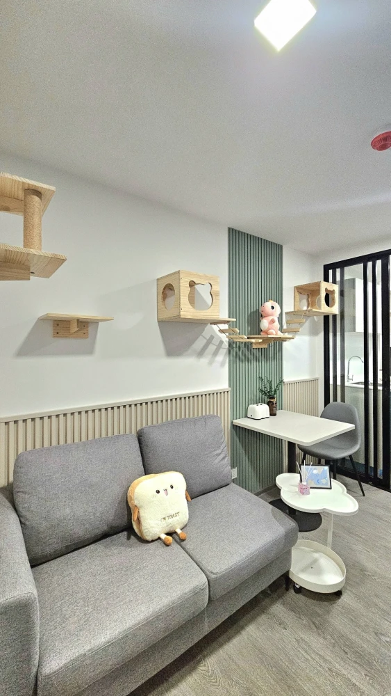 For rent: Kave Wonderland, 5th floor, pool view. Beautifully furnished and ready to move in. Book now!